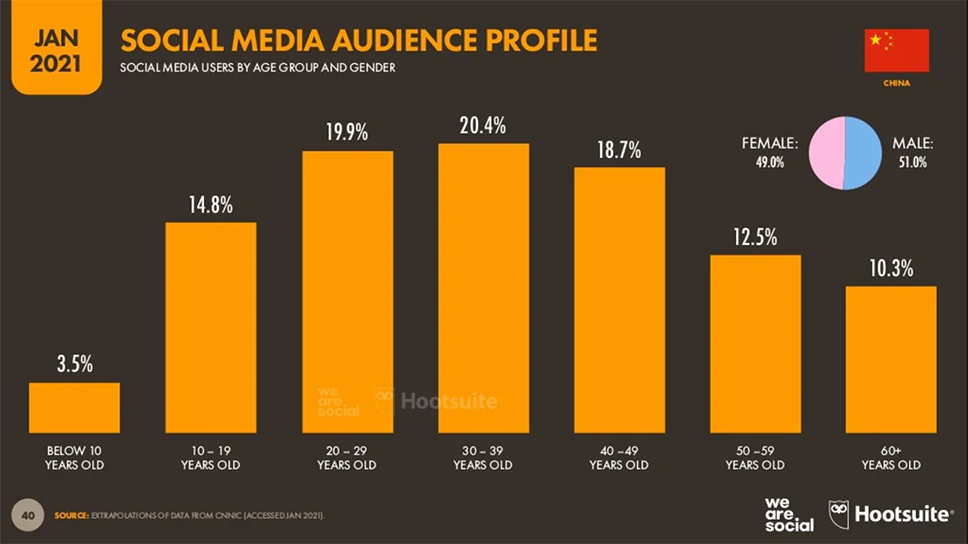 Social media audience profile